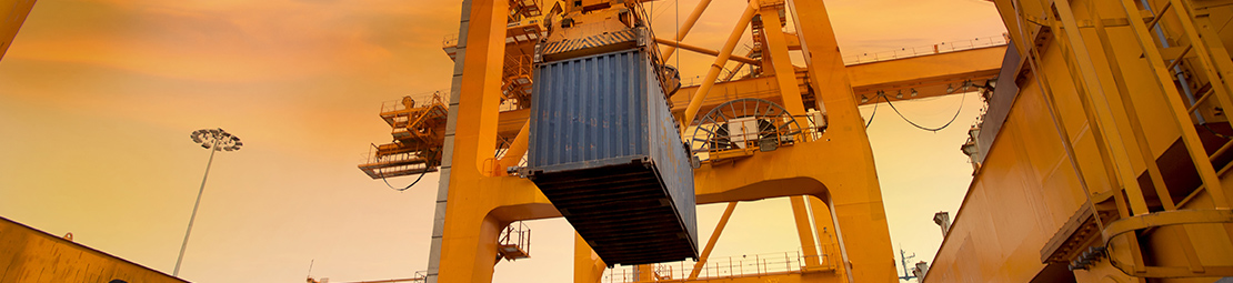 Exportação Imagem